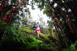 BIB: 
                            <button type="button" onclick="openModal(26202385)" class="btn btn-primary btn-sm float-right btn-popup" data-toggle="modal" data-target=".modal-high-quality">
                        <i class="fas fa-shopping-cart"></i> Add to Cart
                    </button>
                                            <button type="button" onclick="isThisMe(26202385, true)" class="btn btn-success btn-sm float-right btn-popup btn-isme hidden" data-toggle="tooltip" data-placement="bottom" title="นี่คือรูปของคุณใช่ไหม คลิกที่นี่เพื่อเอาเข้าอัลบั้ม">
                        <i class="fas fa-plus"></i> Add to album
                    </button>
                    <button type="button" onclick="isThisMe(26202385, false)" class="btn btn-warning btn-sm float-right btn-popup btn-isnotme hidden">
                        <i class="fas fa-ban"></i> Remove from album
                    </button>